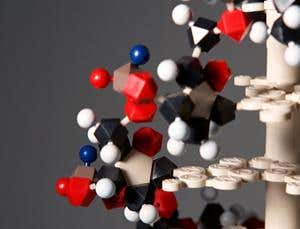 New Scientist. Science news and long reads from expert journalists, covering developments in science, technology, health and the environment on the website and the magazine.