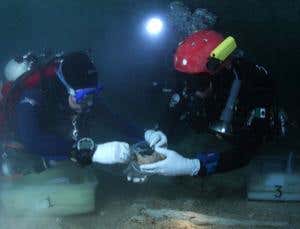 New Scientist. Science news and long reads from expert journalists, covering developments in science, technology, health and the environment on the website and the magazine.