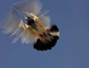 New Scientist. Science news and long reads from expert journalists, covering developments in science, technology, health and the environment on the website and the magazine.