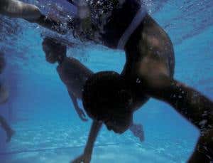 New Scientist. Science news and long reads from expert journalists, covering developments in science, technology, health and the environment on the website and the magazine.