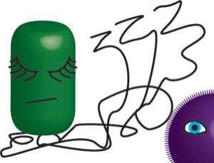 Sleeper cells: How to fight bacteria that play dead