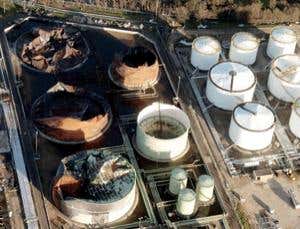 New Scientist. Science news and long reads from expert journalists, covering developments in science, technology, health and the environment on the website and the magazine.