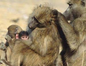 Social networks: Getting connected