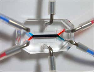 New Scientist. Science news and long reads from expert journalists, covering developments in science, technology, health and the environment on the website and the magazine.