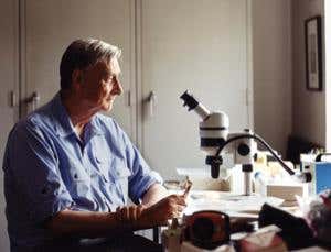 E. O. Wilson: from altruism to a new Enlightenment