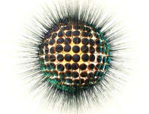 New Scientist. Science news and long reads from expert journalists, covering developments in science, technology, health and the environment on the website and the magazine.