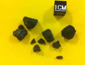 New Scientist. Science news and long reads from expert journalists, covering developments in science, technology, health and the environment on the website and the magazine.