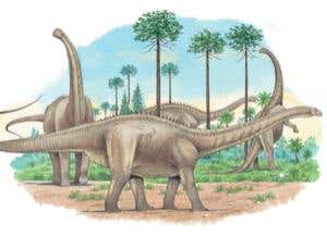 New Scientist. Science news and long reads from expert journalists, covering developments in science, technology, health and the environment on the website and the magazine.