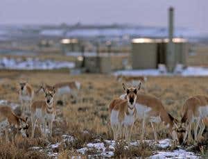 New Scientist. Science news and long reads from expert journalists, covering developments in science, technology, health and the environment on the website and the magazine.