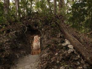 Maya astronomical tables found daubed on wall