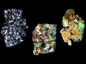 New Scientist. Science news and long reads from expert journalists, covering developments in science, technology, health and the environment on the website and the magazine.