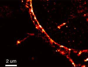 New Scientist. Science news and long reads from expert journalists, covering developments in science, technology, health and the environment on the website and the magazine.