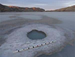 New Scientist. Science news and long reads from expert journalists, covering developments in science, technology, health and the environment on the website and the magazine.