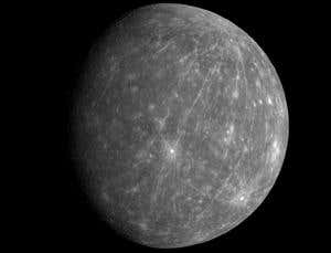 New Scientist. Science news and long reads from expert journalists, covering developments in science, technology, health and the environment on the website and the magazine.