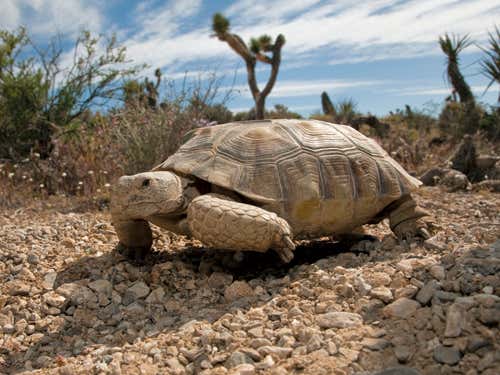 Turning up the heat on power companies