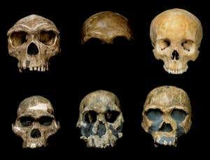 New Scientist. Science news and long reads from expert journalists, covering developments in science, technology, health and the environment on the website and the magazine.