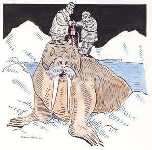 New Scientist. Science news and long reads from expert journalists, covering developments in science, technology, health and the environment on the website and the magazine.