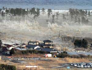 New Scientist. Science news and long reads from expert journalists, covering developments in science, technology, health and the environment on the website and the magazine.