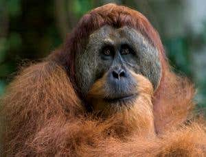 New Scientist. Science news and long reads from expert journalists, covering developments in science, technology, health and the environment on the website and the magazine.