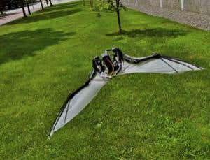 New Scientist. Science news and long reads from expert journalists, covering developments in science, technology, health and the environment on the website and the magazine.