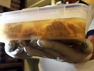 New Scientist. Science news and long reads from expert journalists, covering developments in science, technology, health and the environment on the website and the magazine.