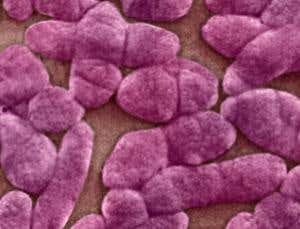 New Scientist. Science news and long reads from expert journalists, covering developments in science, technology, health and the environment on the website and the magazine.