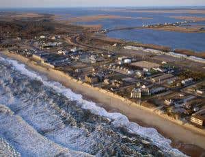 New Scientist. Science news and long reads from expert journalists, covering developments in science, technology, health and the environment on the website and the magazine.