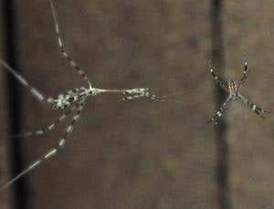 New Scientist. Science news and long reads from expert journalists, covering developments in science, technology, health and the environment on the website and the magazine.