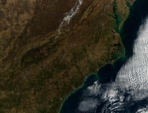 New Scientist. Science news and long reads from expert journalists, covering developments in science, technology, health and the environment on the website and the magazine.