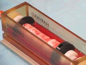 New Scientist. Science news and long reads from expert journalists, covering developments in science, technology, health and the environment on the website and the magazine.