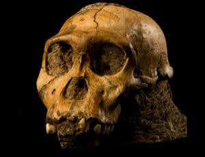 New Scientist. Science news and long reads from expert journalists, covering developments in science, technology, health and the environment on the website and the magazine.