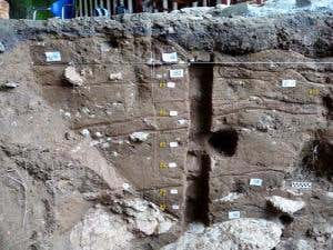 The sediments of Xianrendong cave in China are a rich source of archaeological finds(Image: courtesy of Science/AAAS)