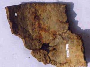 A pottery fragment from Xianrendong cave (Image: courtesy of Science/AAAS)