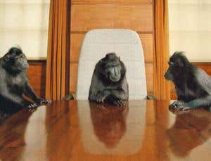 New Scientist. Science news and long reads from expert journalists, covering developments in science, technology, health and the environment on the website and the magazine.