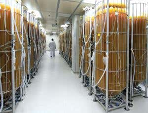 Cheap drugs: Pharming finally bears fruit