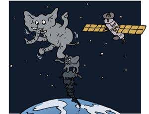 Feedback: The elephant connection