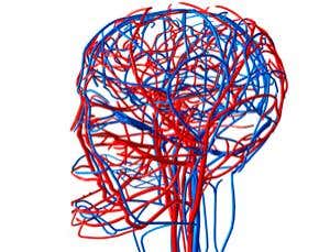 Lucky accidents of human evolution: Energy upgrade