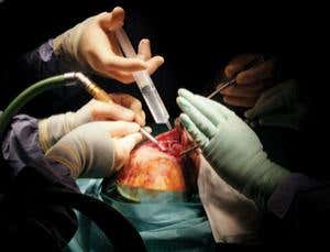 New Scientist. Science news and long reads from expert journalists, covering developments in science, technology, health and the environment on the website and the magazine.