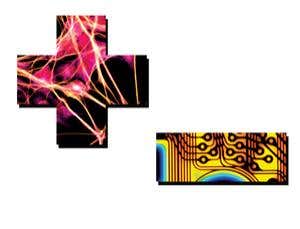 Positive switch for body electronics