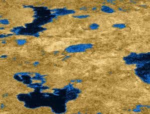 New Scientist. Science news and long reads from expert journalists, covering developments in science, technology, health and the environment on the website and the magazine.