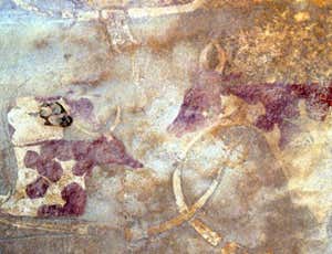 Rock art image of domesticated cattle, between 5000 and 8000 years old, from the Wadi Imha, in the Tadrart Acacus mountains, Libyan Sahara