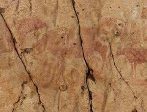 New Scientist. Science news and long reads from expert journalists, covering developments in science, technology, health and the environment on the website and the magazine.