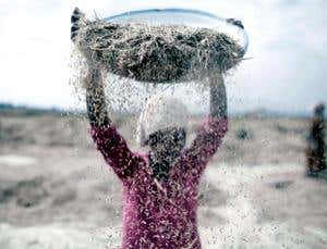 New Scientist. Science news and long reads from expert journalists, covering developments in science, technology, health and the environment on the website and the magazine.