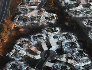 New Scientist. Science news and long reads from expert journalists, covering developments in science, technology, health and the environment on the website and the magazine.