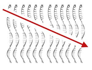 New Scientist. Science news and long reads from expert journalists, covering developments in science, technology, health and the environment on the website and the magazine.