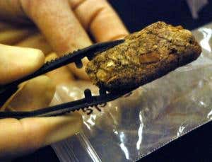 New Scientist. Science news and long reads from expert journalists, covering developments in science, technology, health and the environment on the website and the magazine.