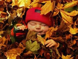 Autumn babies more likely to hit 100