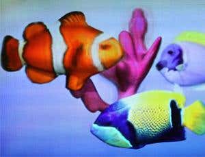 Glasses-free 3D screens let you see the wider picture