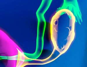 New Scientist. Science news and long reads from expert journalists, covering developments in science, technology, health and the environment on the website and the magazine.