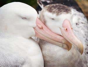 New Scientist. Science news and long reads from expert journalists, covering developments in science, technology, health and the environment on the website and the magazine.